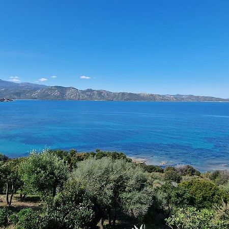 Appartement Sur La Baie De Saint Florent باتريمونيو المظهر الخارجي الصورة