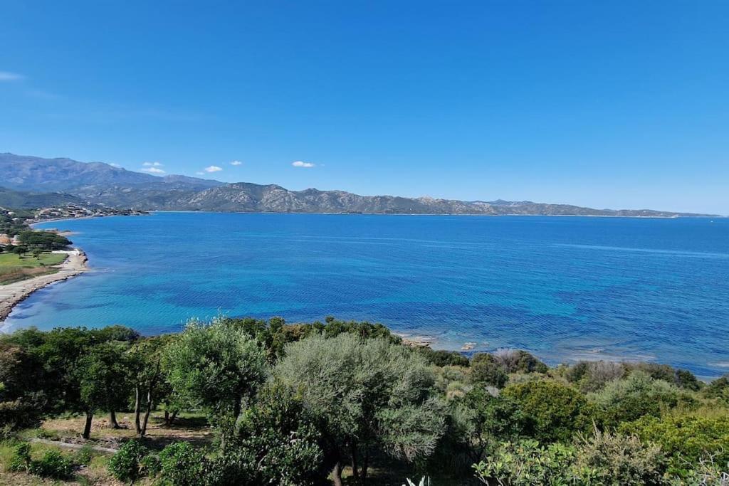 Appartement Sur La Baie De Saint Florent باتريمونيو المظهر الخارجي الصورة