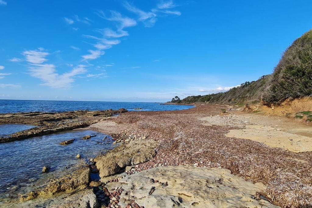 Appartement Sur La Baie De Saint Florent باتريمونيو المظهر الخارجي الصورة