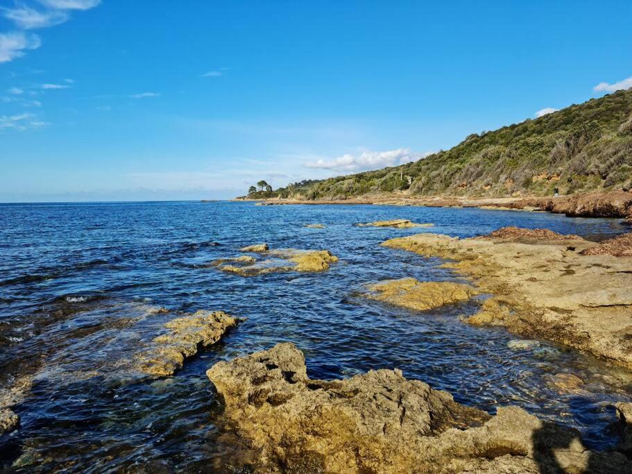 Appartement Sur La Baie De Saint Florent باتريمونيو المظهر الخارجي الصورة