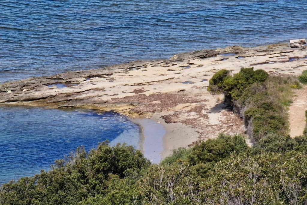 Appartement Sur La Baie De Saint Florent باتريمونيو المظهر الخارجي الصورة