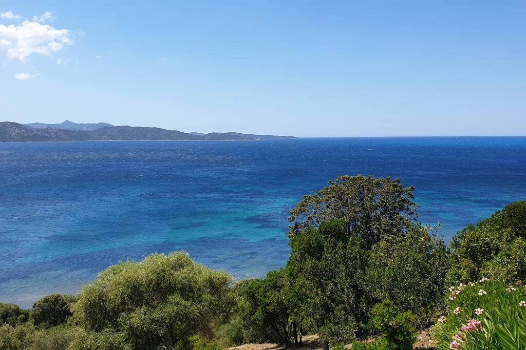Appartement Sur La Baie De Saint Florent باتريمونيو المظهر الخارجي الصورة